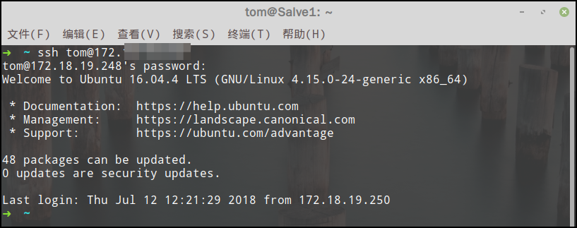 密码口令登录服务器