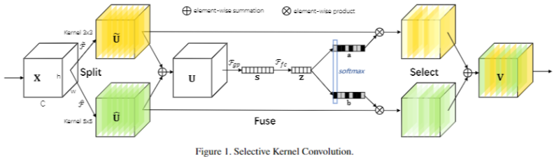 SKNet-20230408141134